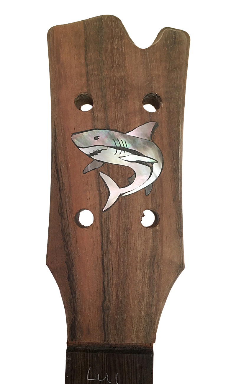 inlays-21.png