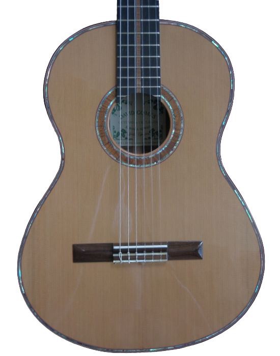 classical guitars-4.png