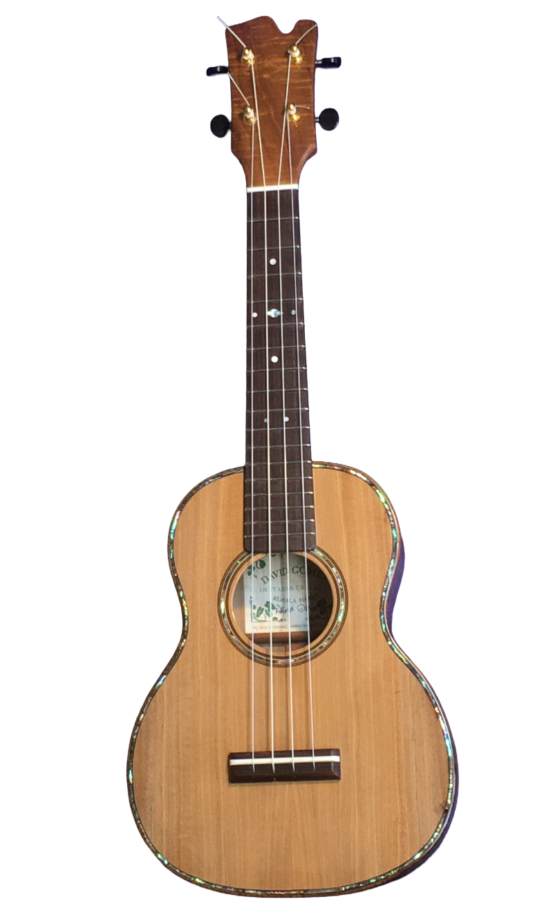 concert ukuleles (1)-32.png