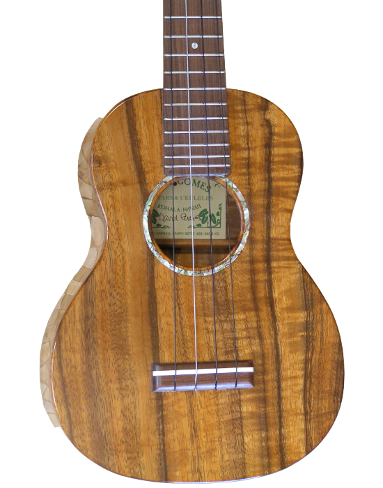 concert ukuleles (1)-23.png