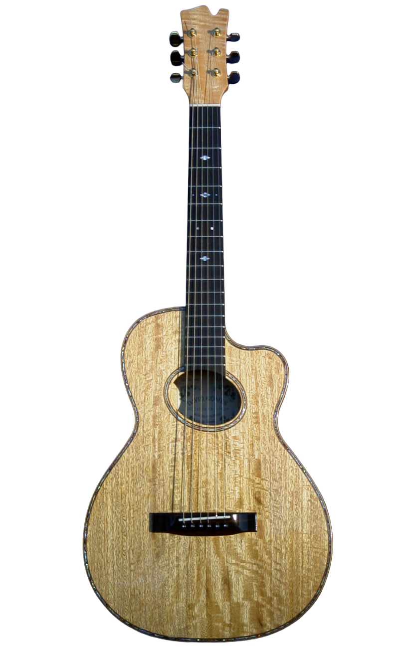 steel string guitars-1.png