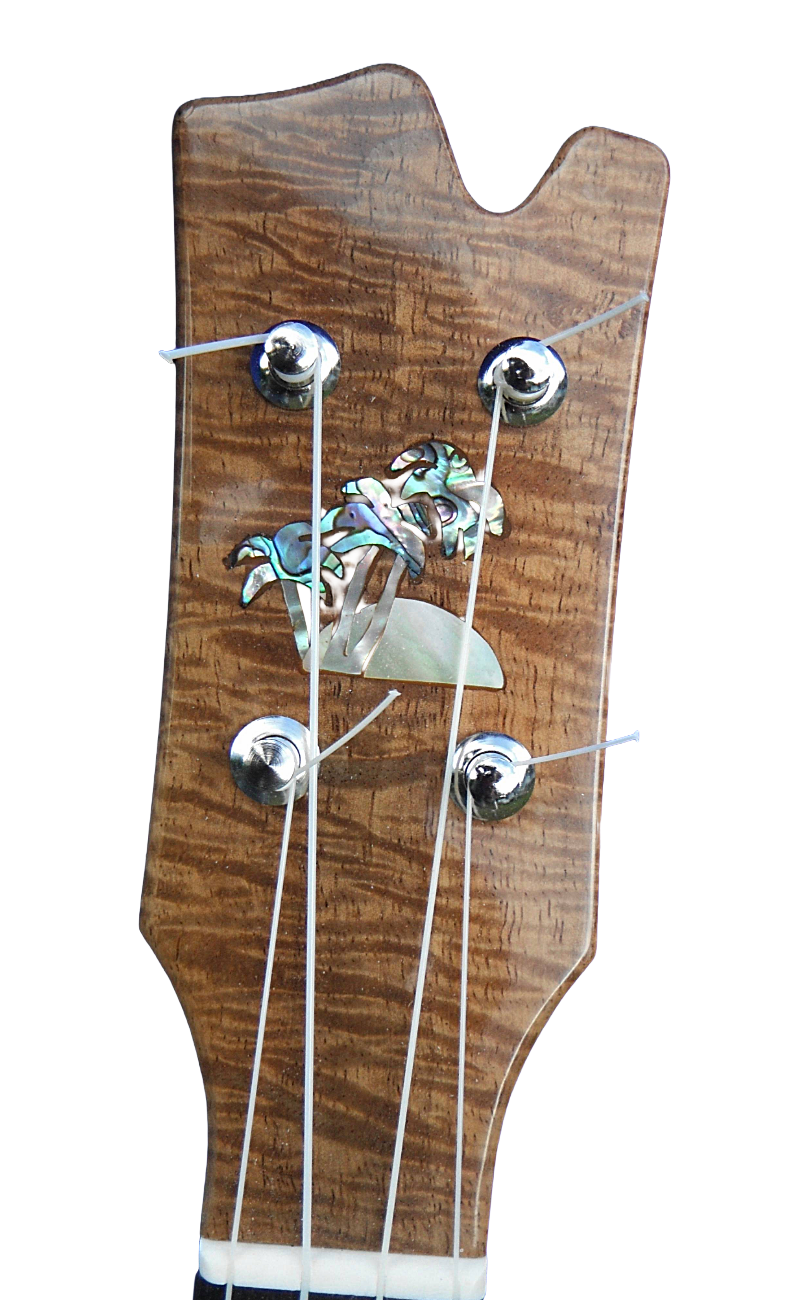 inlays-23.png