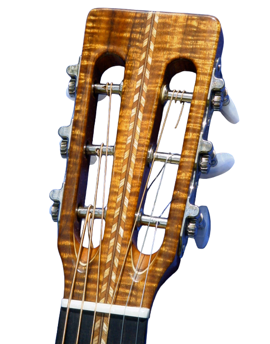 steel string guitars-13.png