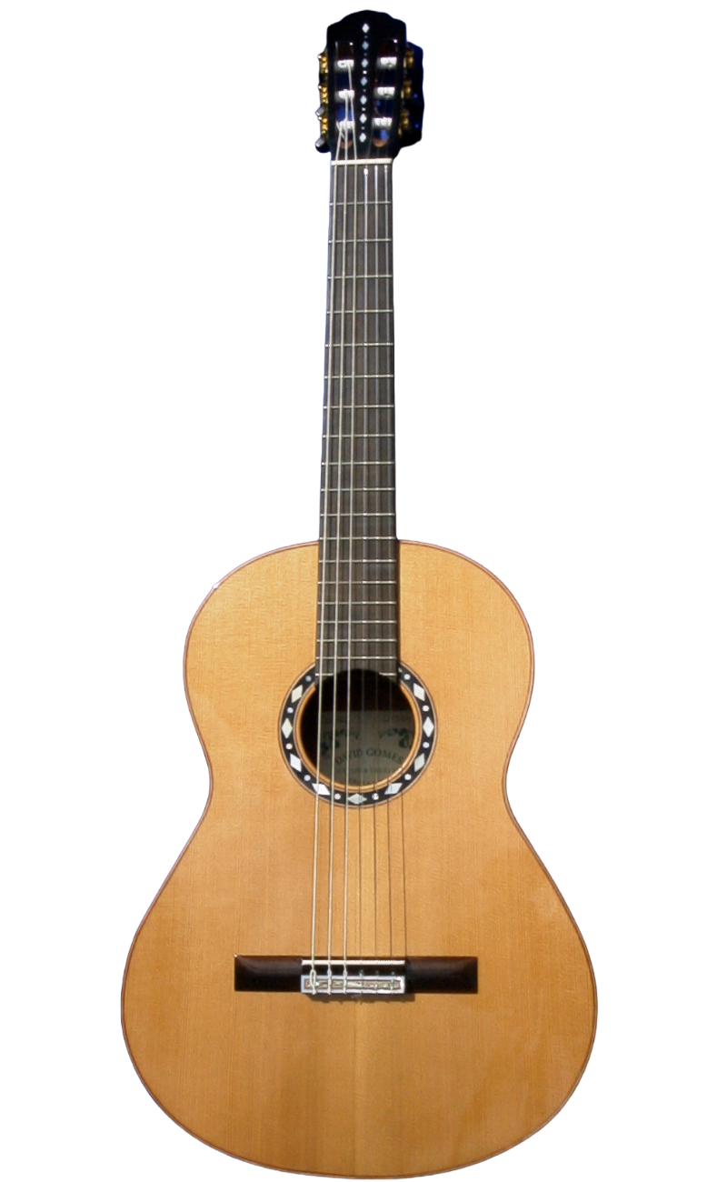 classical guitars-11.png