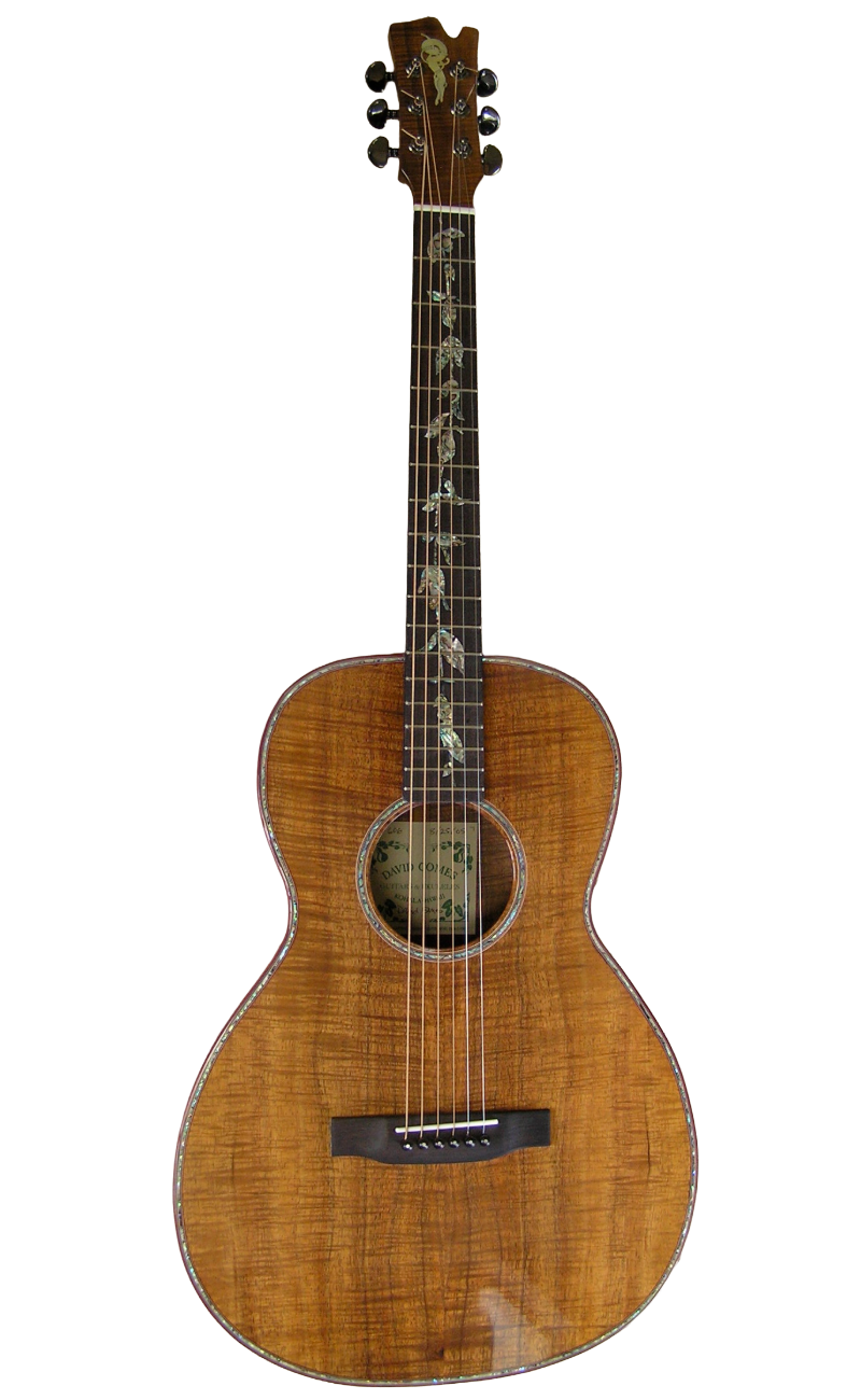 steel string guitars-2.png