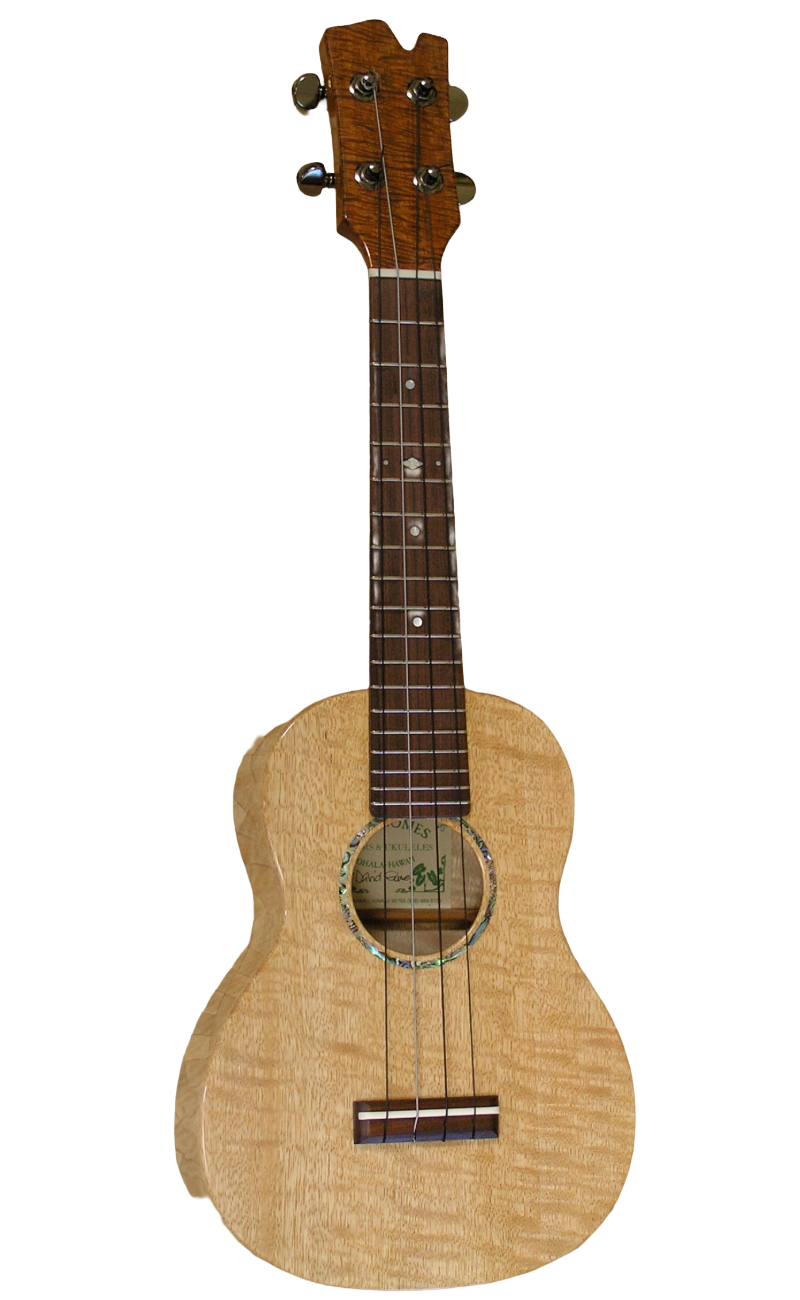 concert ukuleles (1)-31.png