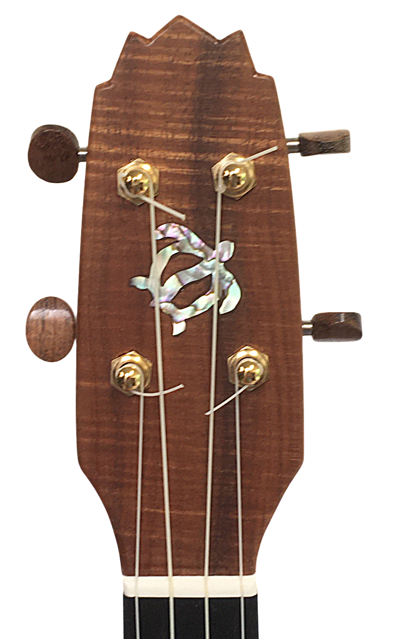 inlays-10.png
