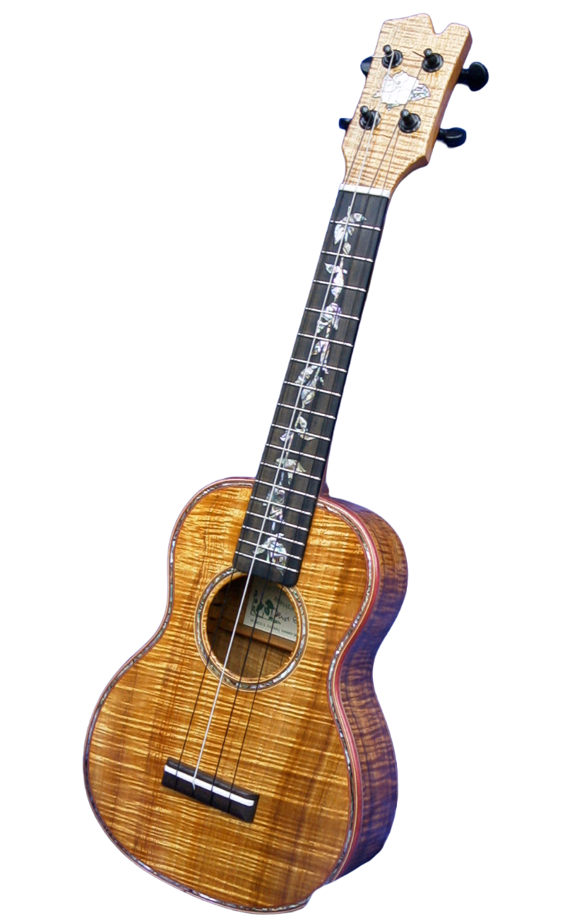 tenor & bari ukuleles-11.png