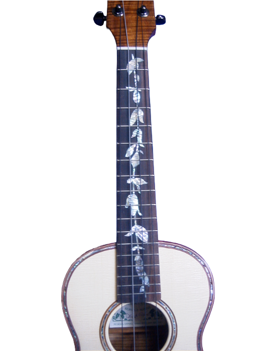 tenor & bari ukuleles-9.png