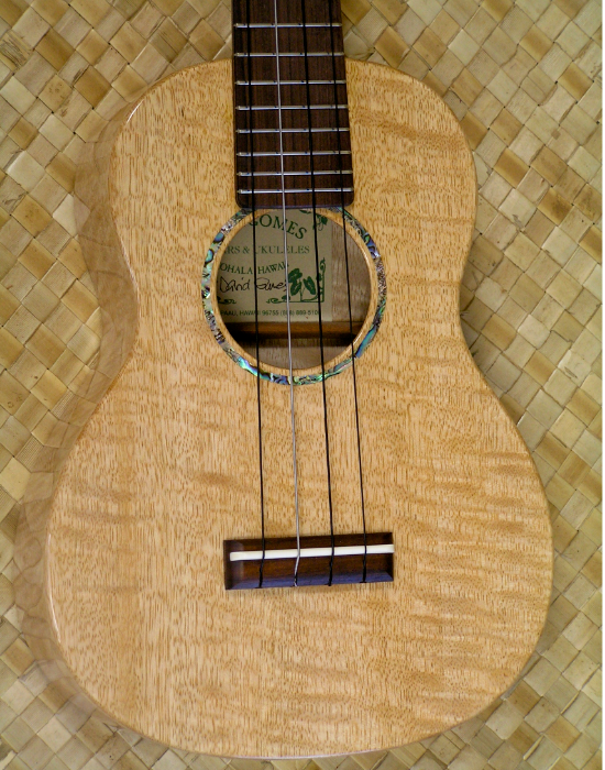 concert ukuleles (1)-26.png