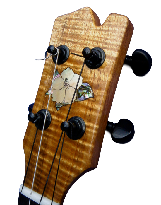 tenor & bari ukuleles-15.png