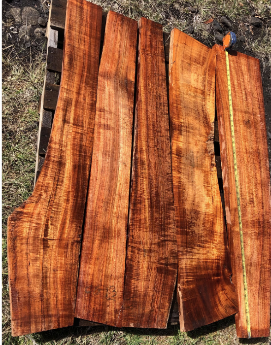 wood species-14.png