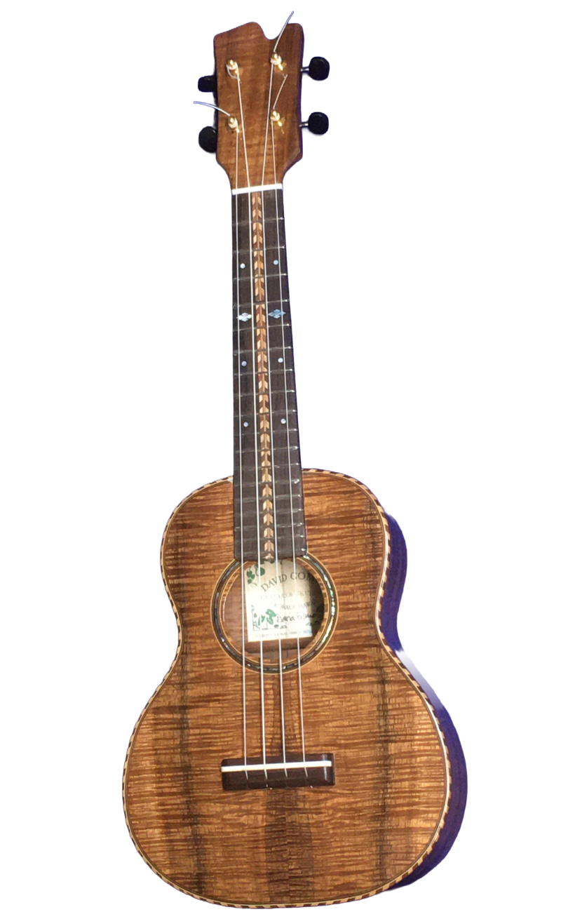 concert ukuleles (1)-18.png