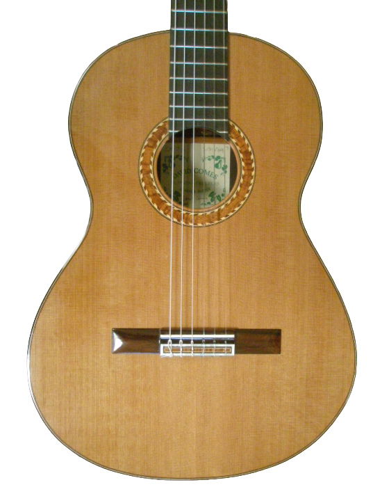 classical guitars-6.png