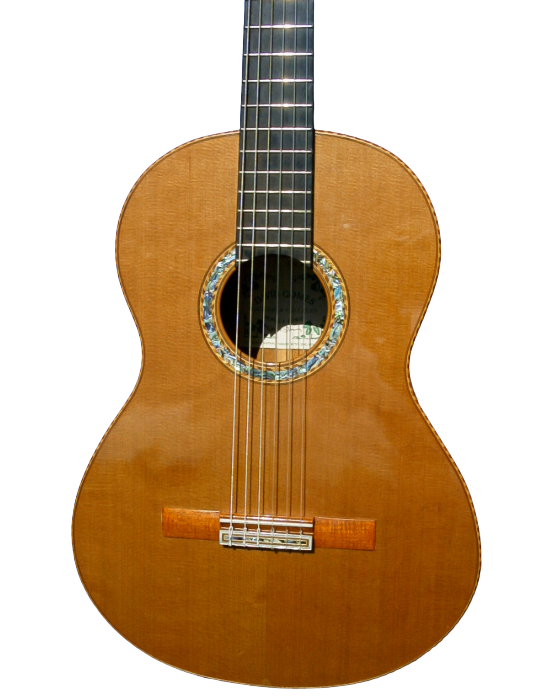 classical guitars-8.png