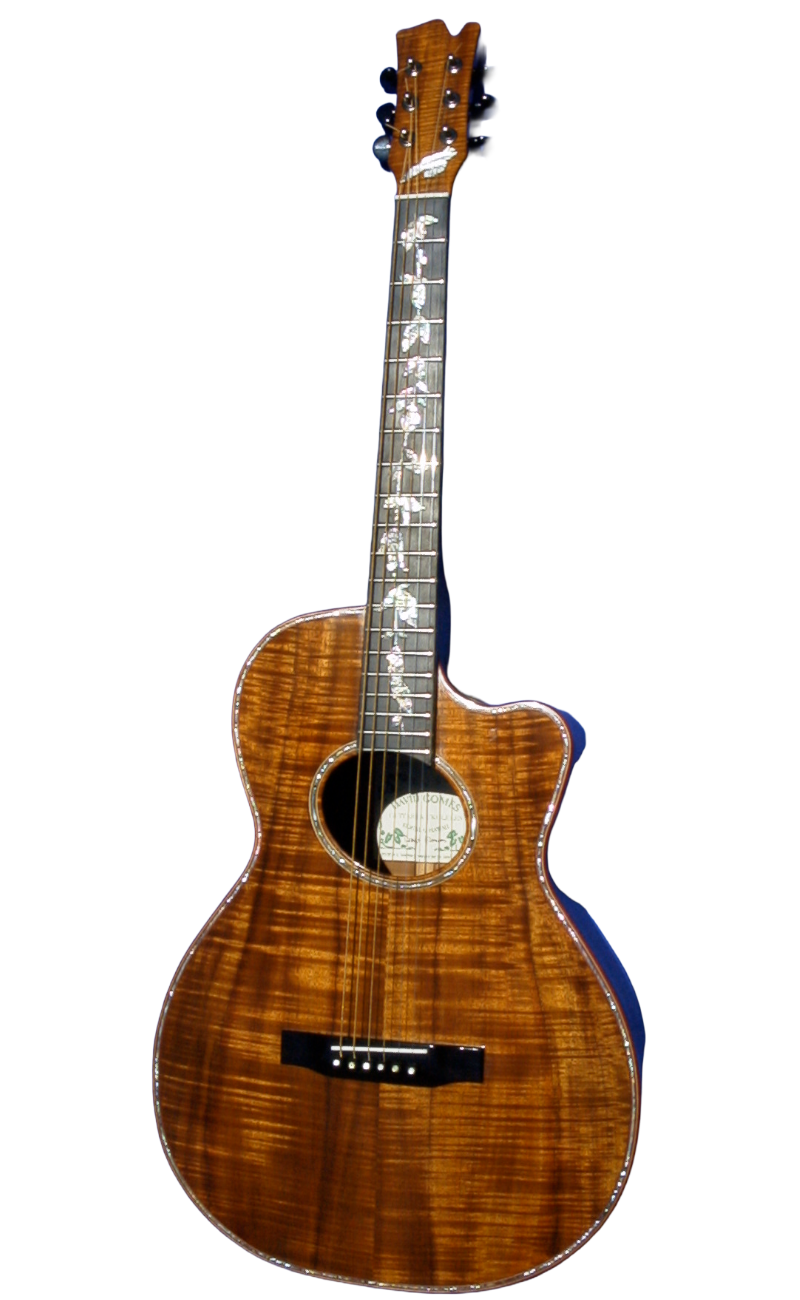 steel string guitars-10.png
