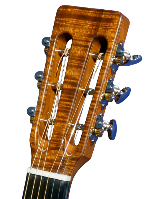 steel string guitars-4.png