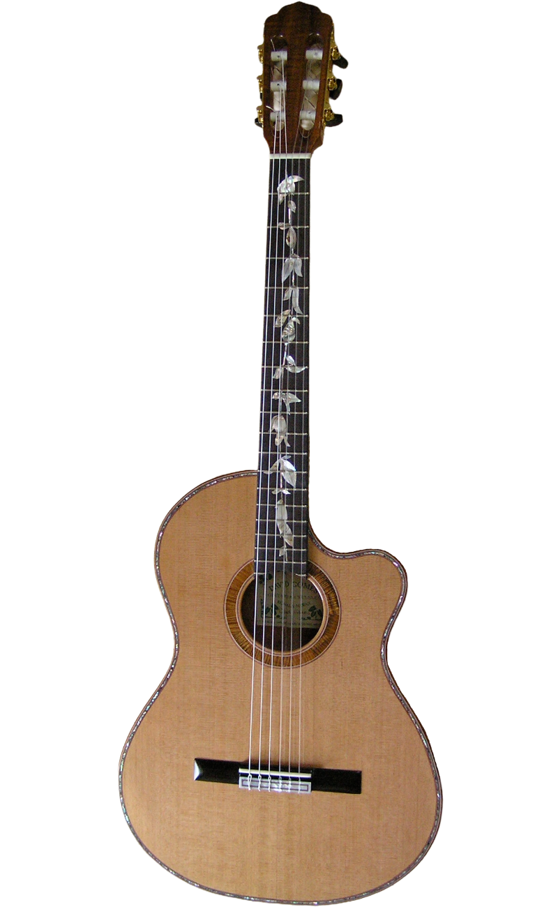 classical guitars-1-classical guitars.png