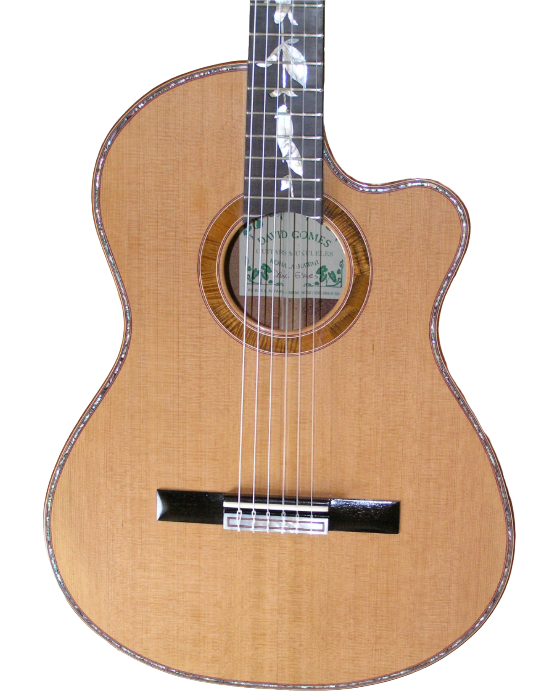 classical guitars-2.png