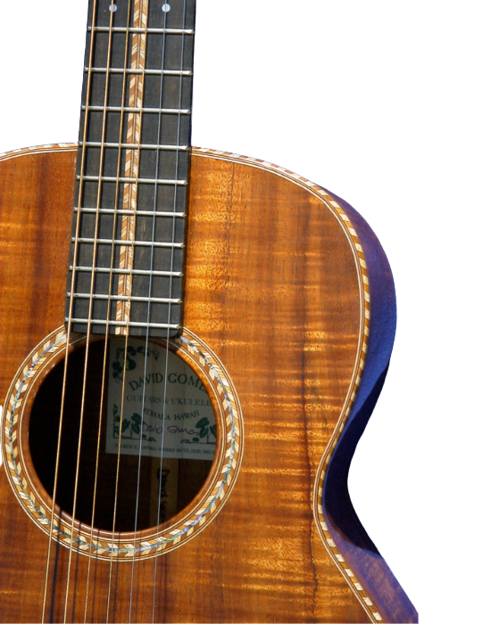 steel string guitars-12.png
