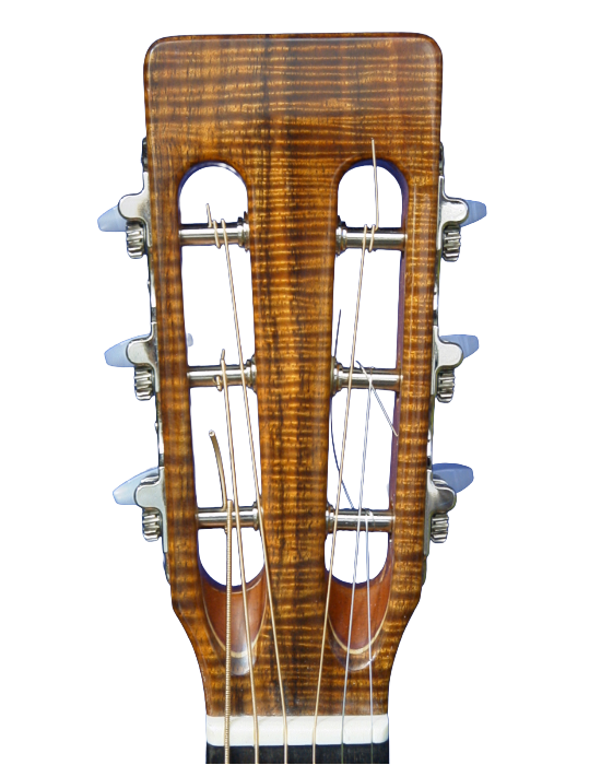 steel string guitars-3.png