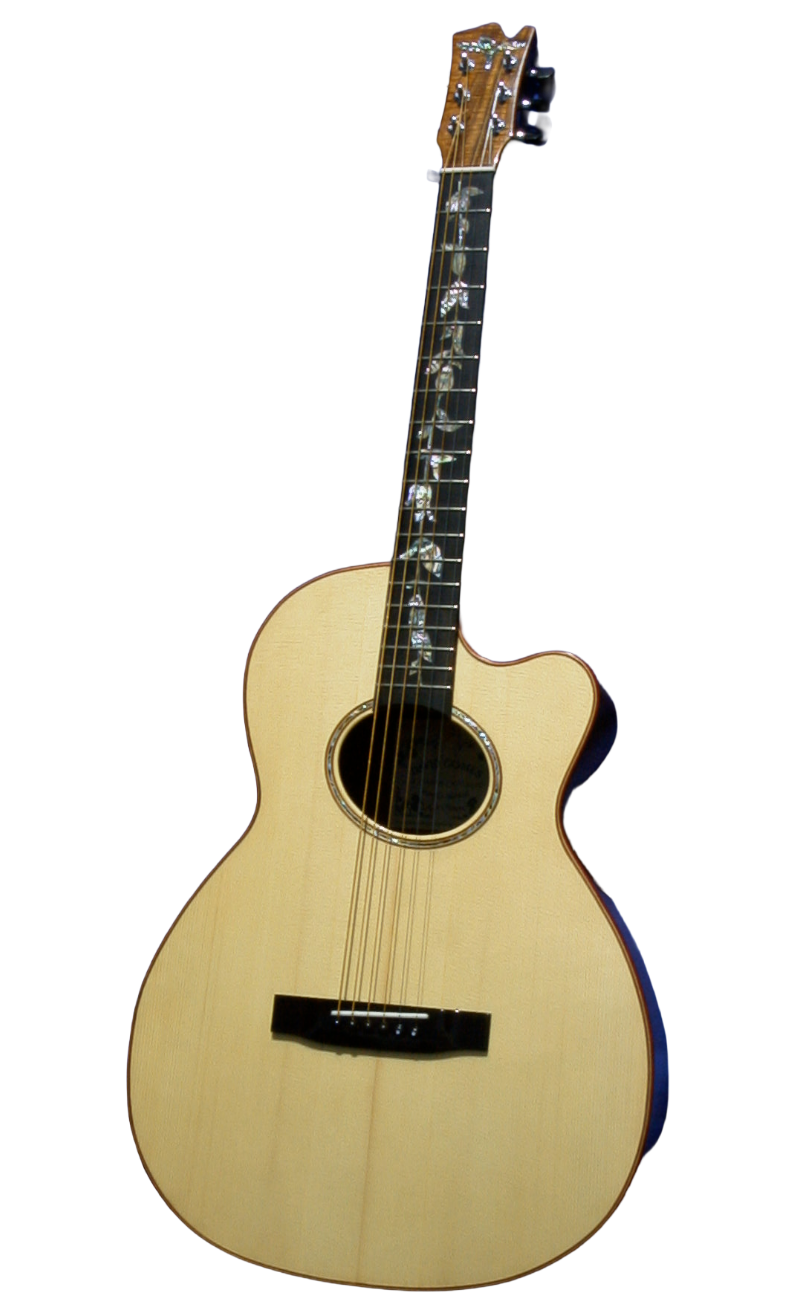 steel string guitars-9.png