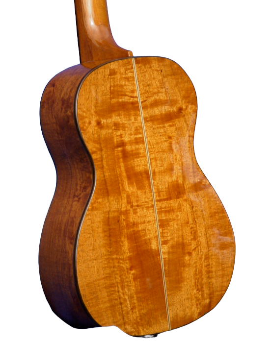 tenor & bari ukuleles-38.png
