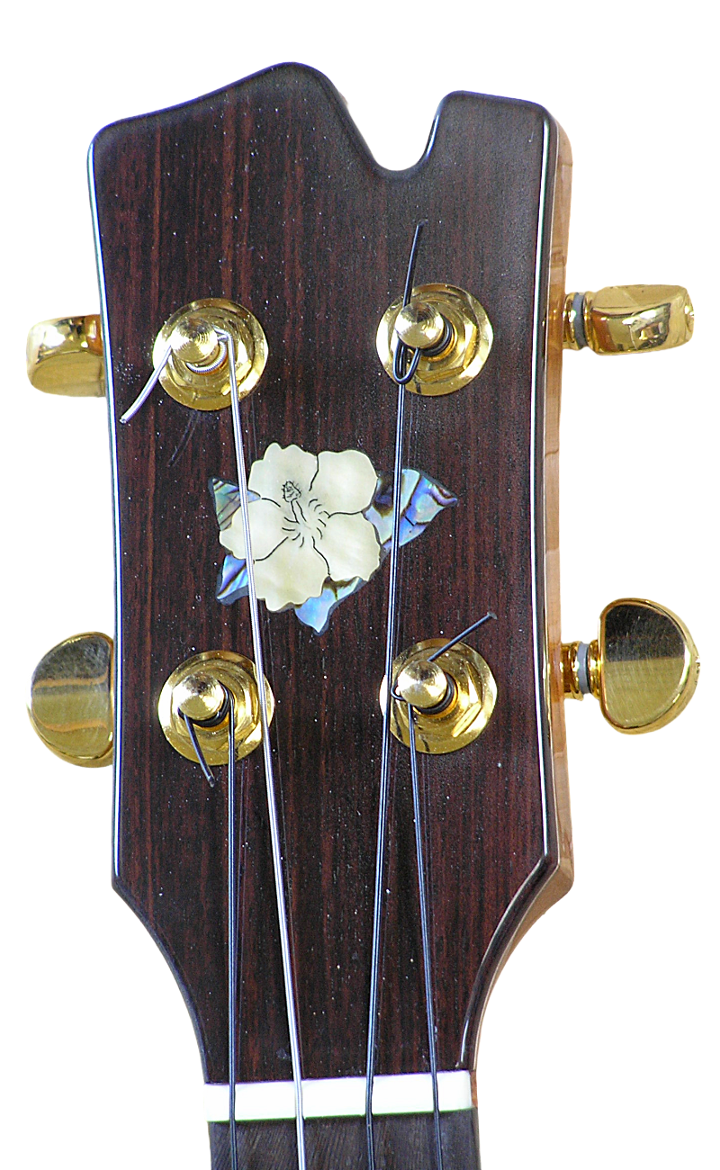 inlays-1.png