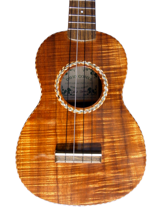 concert ukuleles (1)-2.png