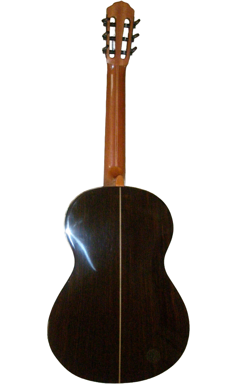 classical guitars-12.png