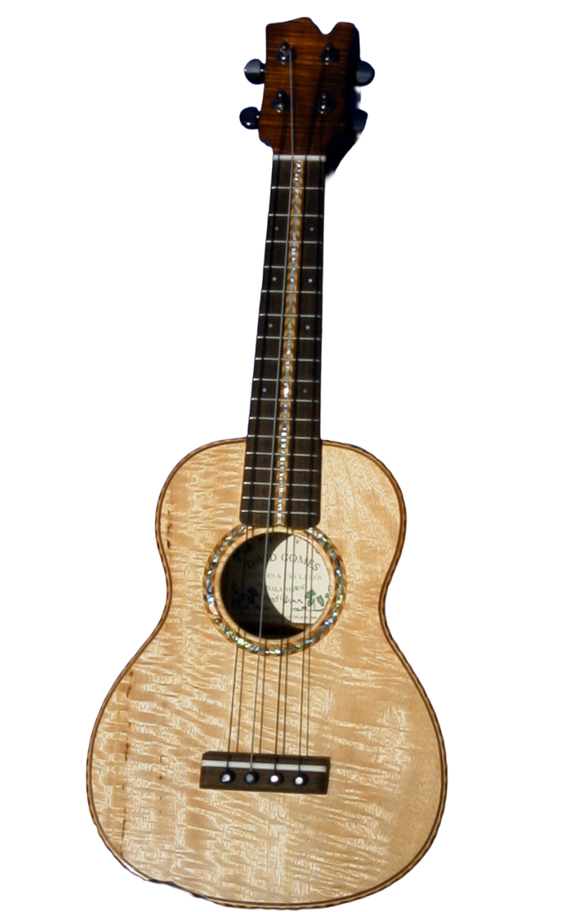concert ukuleles (1)-28.png