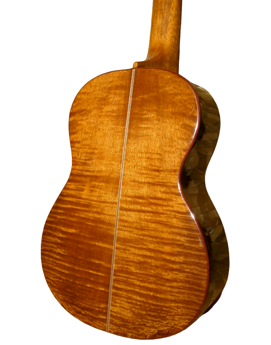 wood species-2.png