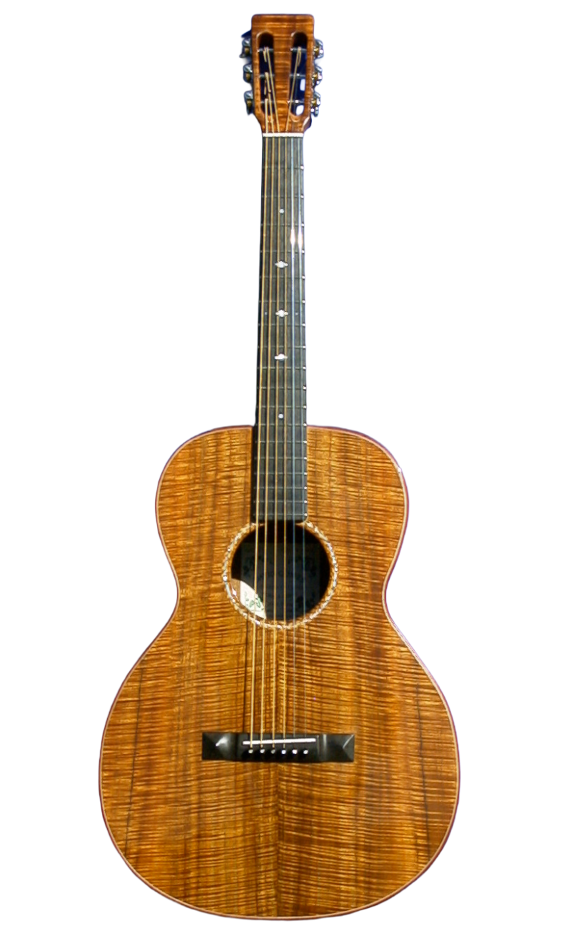 steel string guitars-6.png