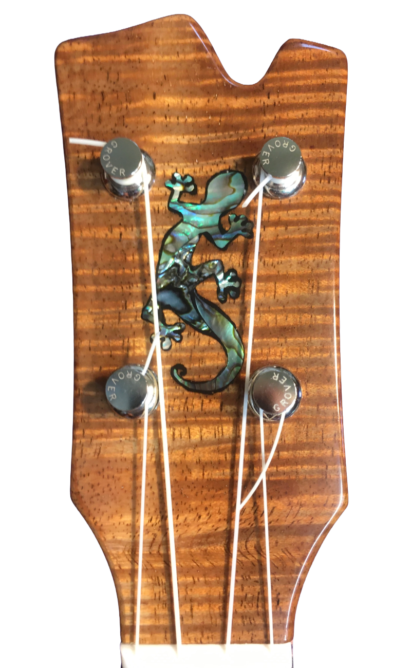 inlays-18.png