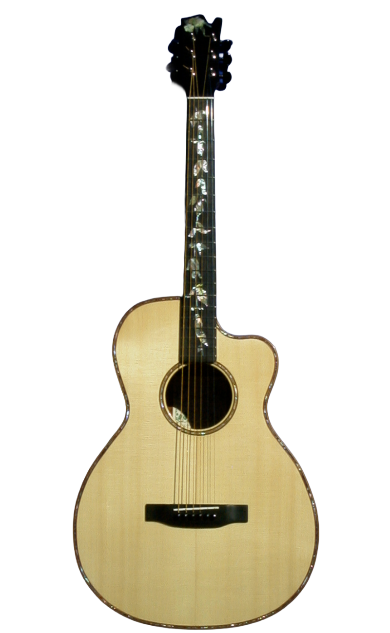 steel string guitars-7.png