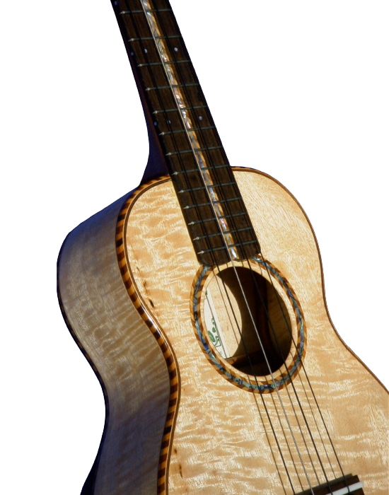 concert ukuleles (1)-29.png