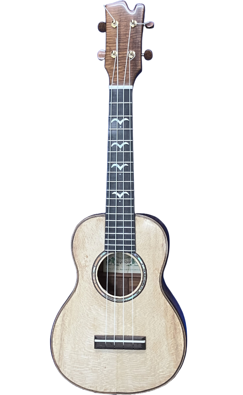concert ukuleles (1)-14.png