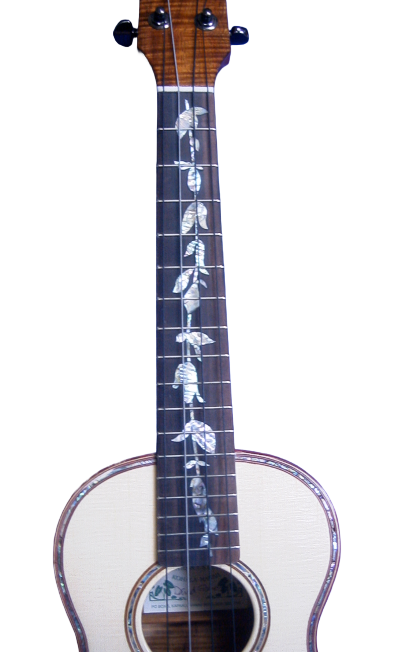 inlays-3.png
