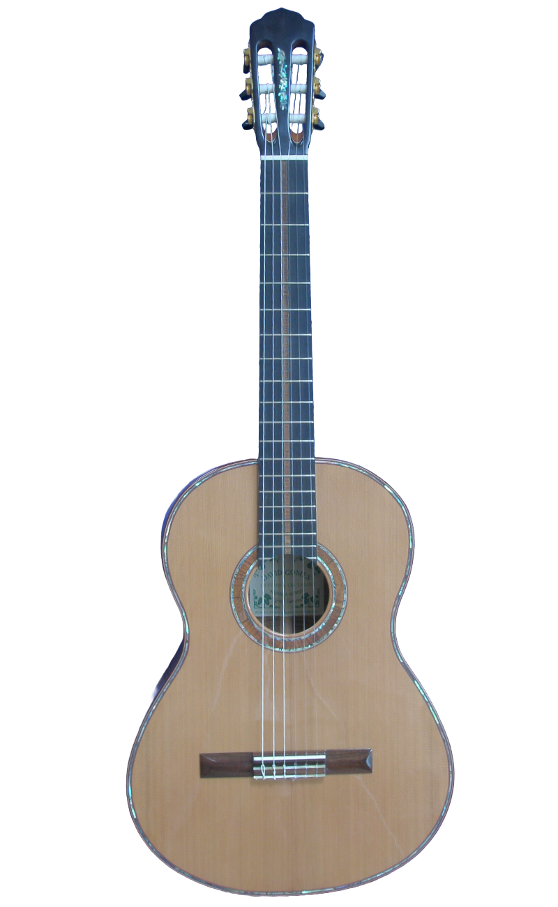 classical guitars-3.png