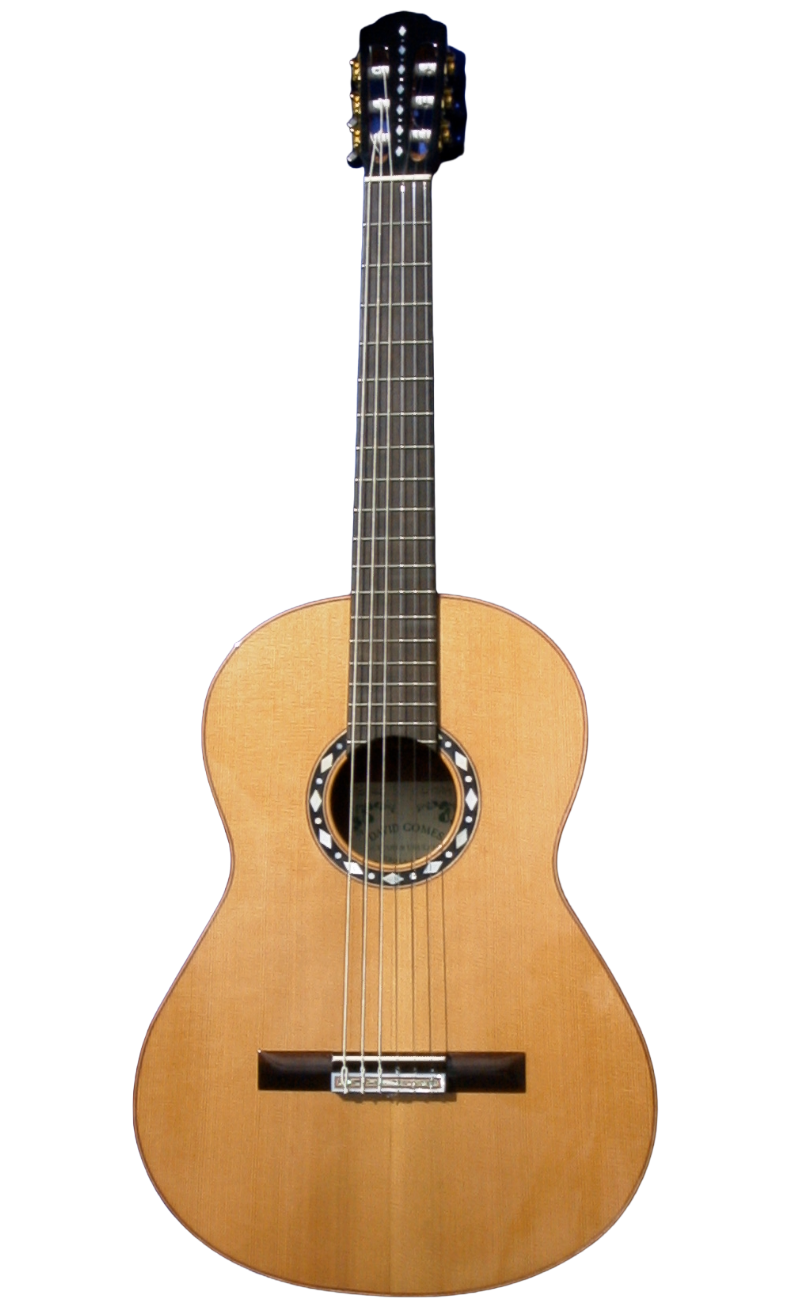 classical guitars-11.png