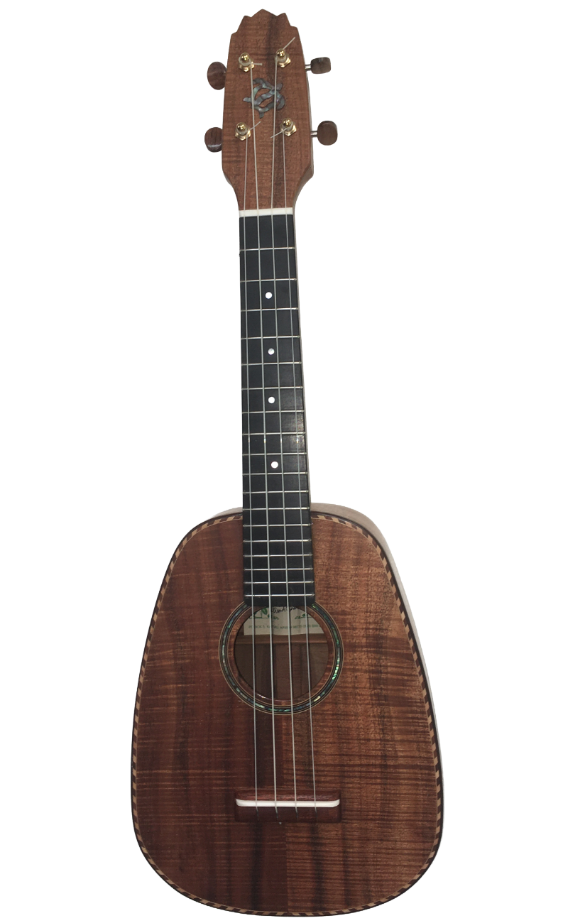 concert ukuleles (1)-21.png