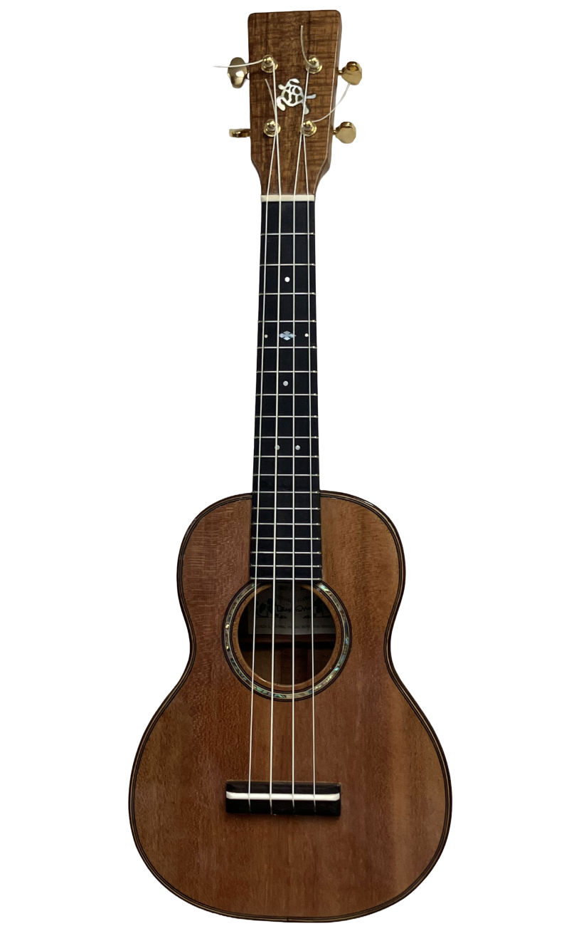 concert ukuleles (1)-10.png