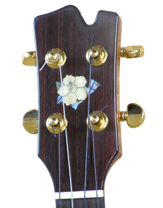 tenor & bari ukuleles-4.png