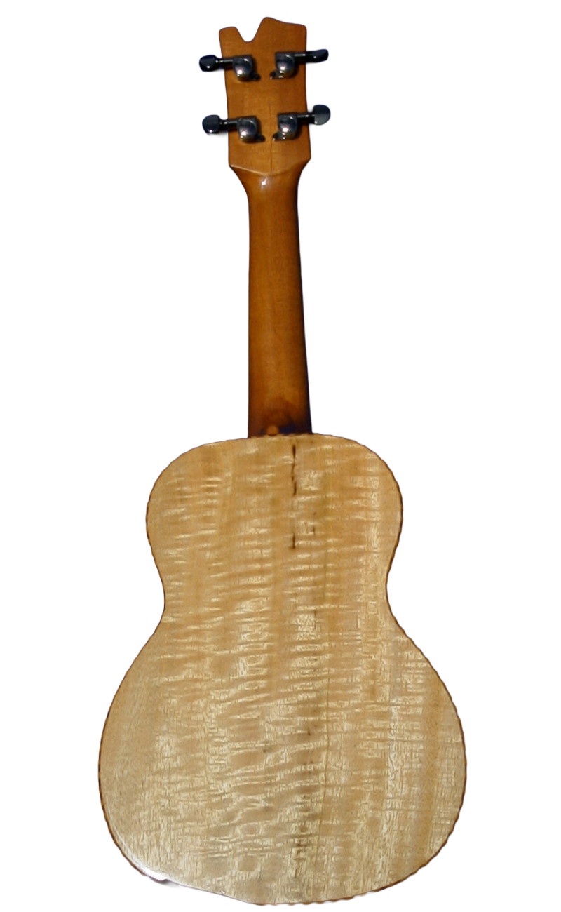 concert ukuleles (1)-30.png