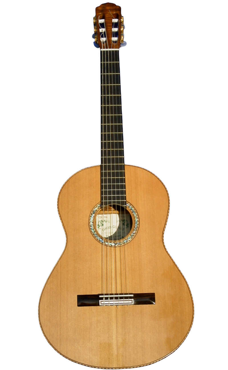 classical guitars-10.png