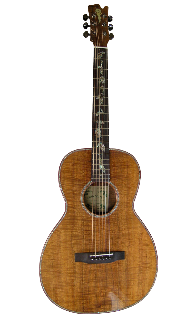 steel string guitars-2.png