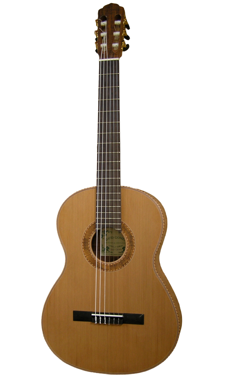 classical guitars-5.png