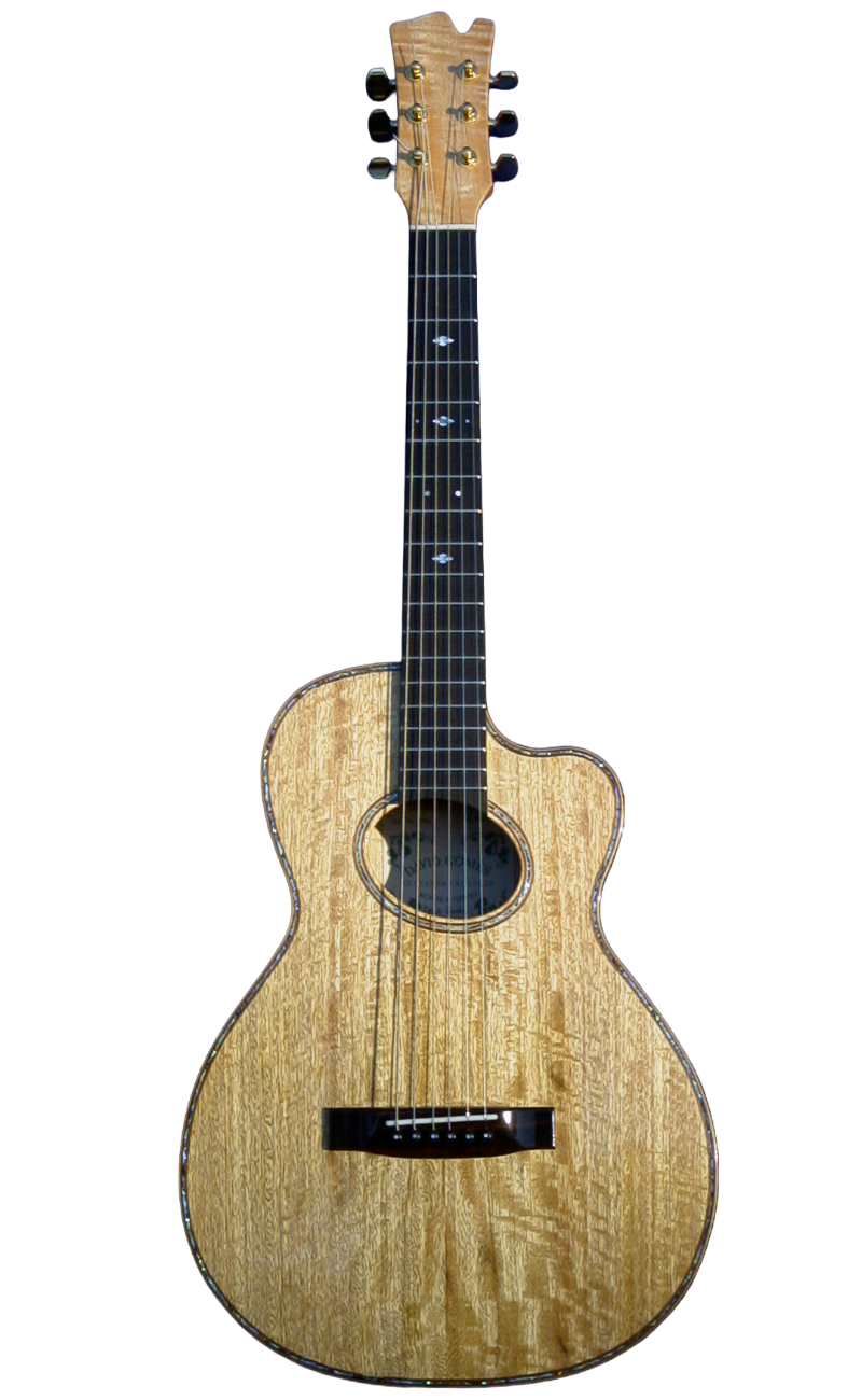 steel string guitars-1.png