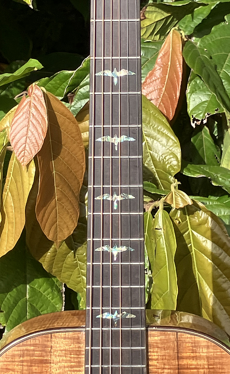 inlays-26.png