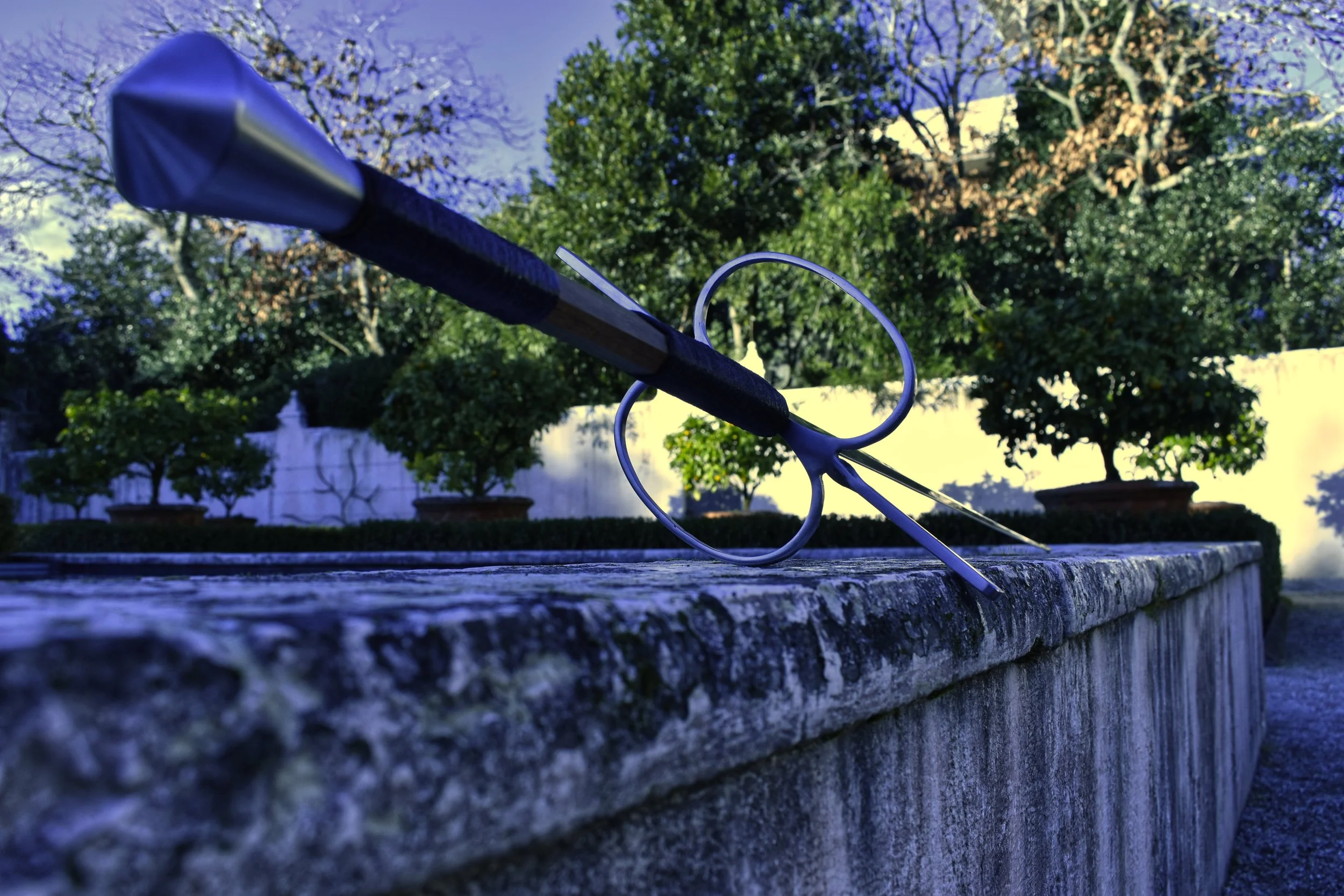Longsword Ringed 6.jpg